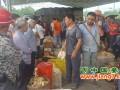 重慶：生姜市場(chǎng)打開(kāi)銷(xiāo)路 ()