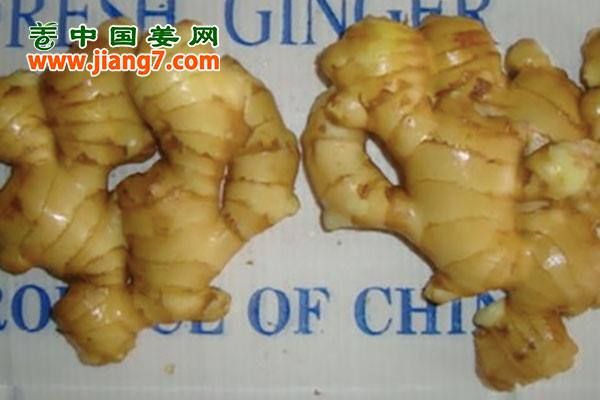 新姜出口季已經(jīng)到來(lái) ()