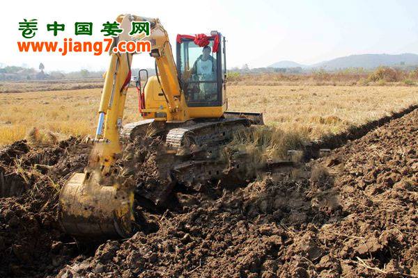 銅陵：深翻姜田備來(lái)年 ()
