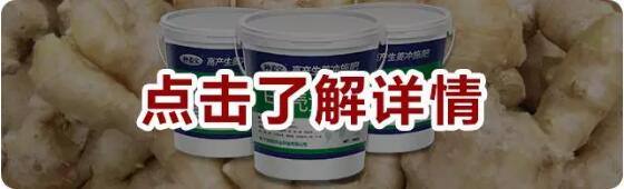 QQ截圖20180614150725