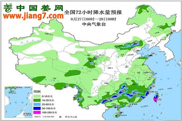 降雨+高溫又至，上水姜需及時(shí)處理 ()