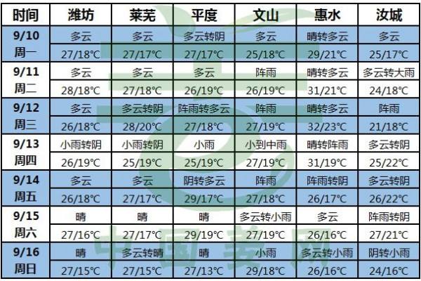 晴好天氣助力大姜生長(zhǎng)！ ()