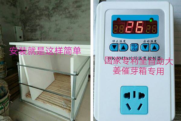 全自動(dòng)大姜催芽專用箱2