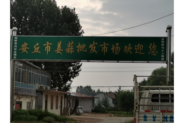 生姜走訪調(diào)研—安丘、青州市場 ()