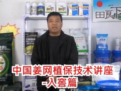 生姜植保技術(shù)——入窖篇 ()