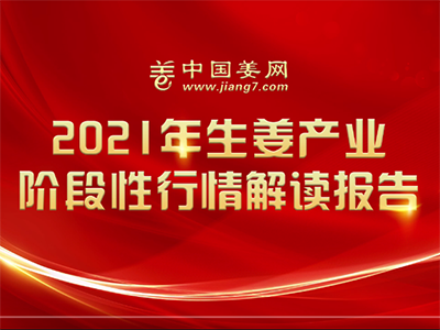 中國(guó)姜網(wǎng)2021年生姜產(chǎn)業(yè)階段性行情解讀報(bào)告 ()