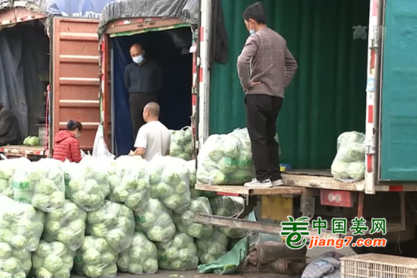 北京：蔬菜供應(yīng)轉(zhuǎn)換 價(jià)格季節(jié)性下降 ()