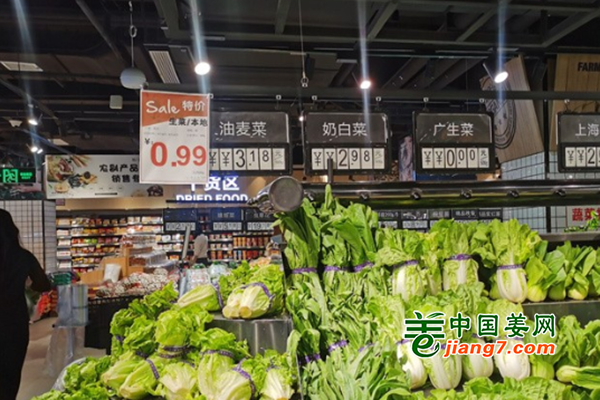 湖北十堰：暖棚轉(zhuǎn)露地 菜價(jià)一路回落 ()