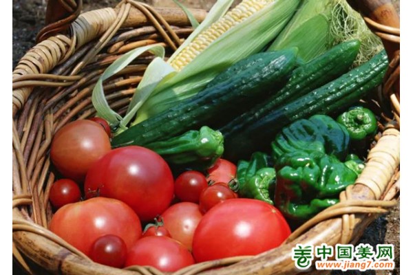 大同：蔬菜生長(zhǎng)加速 菜價(jià)有望繼續(xù)回落 ()