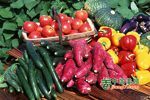 濟(jì)南：5月蔬菜價格呈下降態(tài)勢 ()