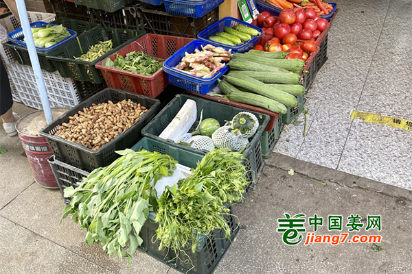 成都：“一元菜”種類增多 市民生活減負(fù) ()