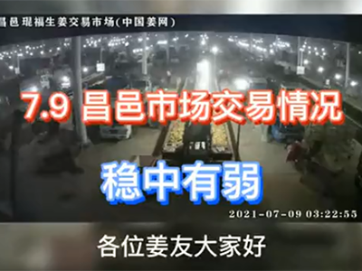 7月9日 昌邑生姜交易實況（穩(wěn)中有弱） ()