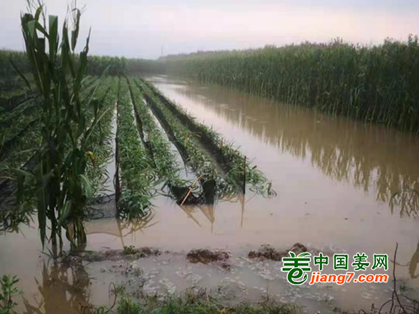 未標(biāo)題-4
