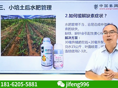 種植生姜如何環(huán)節(jié)缺素現(xiàn)象？ ()