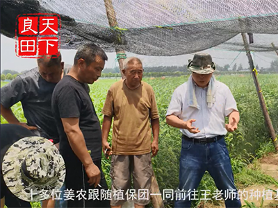 中國(guó)姜網(wǎng)生姜基地調(diào)研--走進(jìn)安徽、湖北第四站 ()