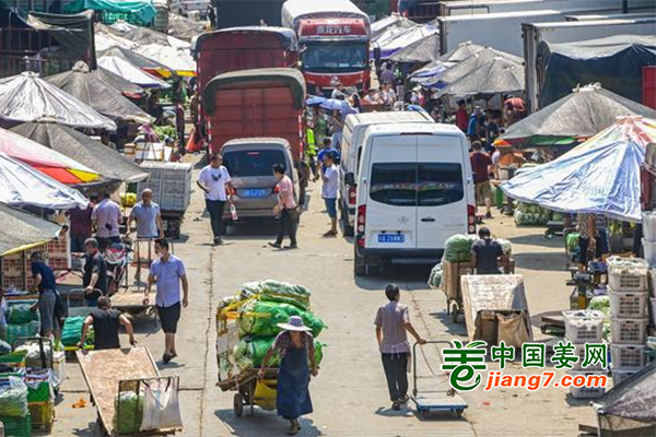 重慶：蔬菜供應(yīng)較為充足 價格穩(wěn)定 ()