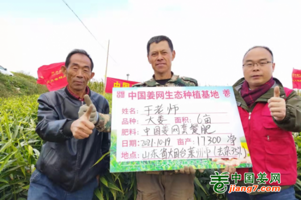 山東萊州、龍口生態(tài)生姜基地測產(chǎn)簡記 ()