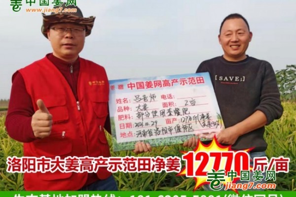 河南洛陽市偃師區(qū)生態(tài)生姜示范田測產(chǎn)簡記 ()