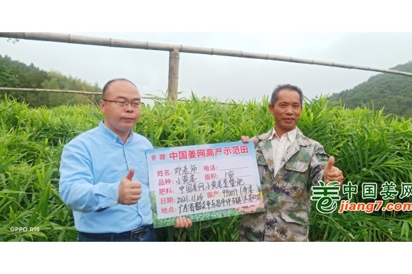 廣東韶關(guān)生態(tài)小黃姜示范田測產(chǎn)簡記 ()