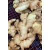 大量供應(yīng)圓頭姜烘干姜