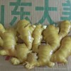 生姜產(chǎn)地 大黃姜，小黃姜大量現(xiàn)貨