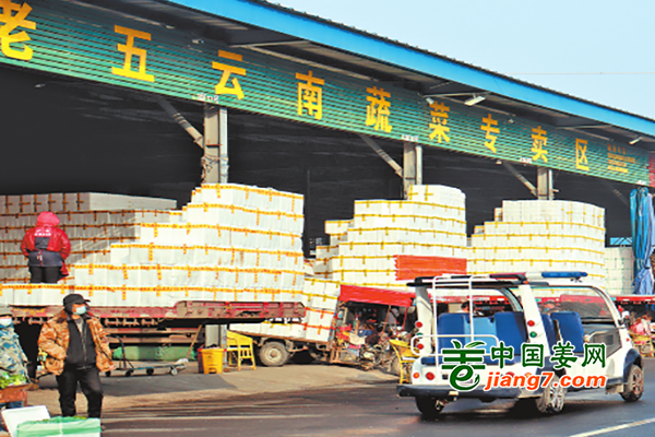 河南安陽：疫情下蔬菜供應(yīng)穩(wěn)定 ()
