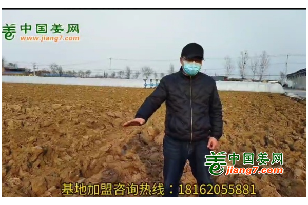 中國姜網(wǎng)新生態(tài)基地調(diào)研--河北（邢臺(tái)、石家莊)篇 ()