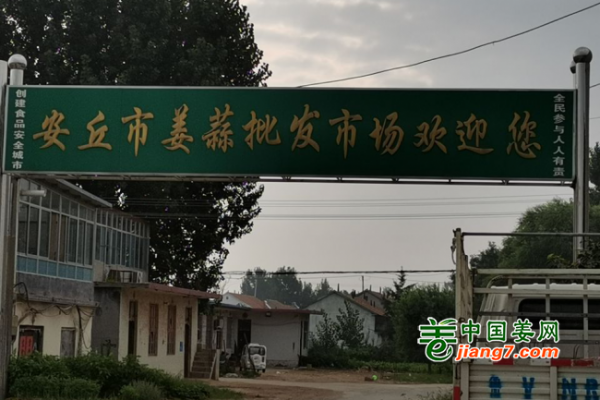 生姜主產(chǎn)區(qū)市場調(diào)研--安丘篇 ()
