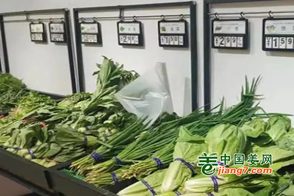 河北衡水：天氣轉(zhuǎn)暖 菜價(jià)下調(diào) ()