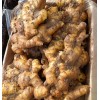 大量供應(yīng)生姜
