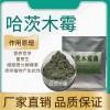 哈茨木霉 農(nóng)作物種植 肥料發(fā)酵菌種