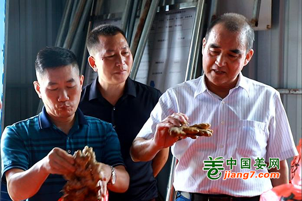 湖南藍(lán)山縣：小黃姜滯銷難題被破解 ()