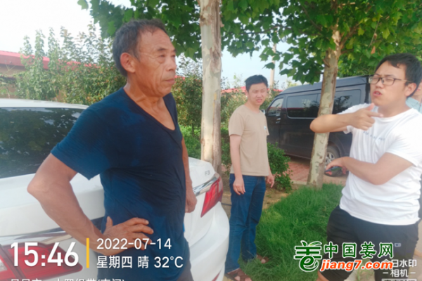 2022生姜調(diào)研－苗情篇 ()