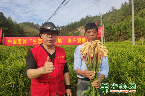 2022年南方生姜基地測(cè)產(chǎn)（三） ()