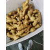 生姜購(gòu)銷13176070878