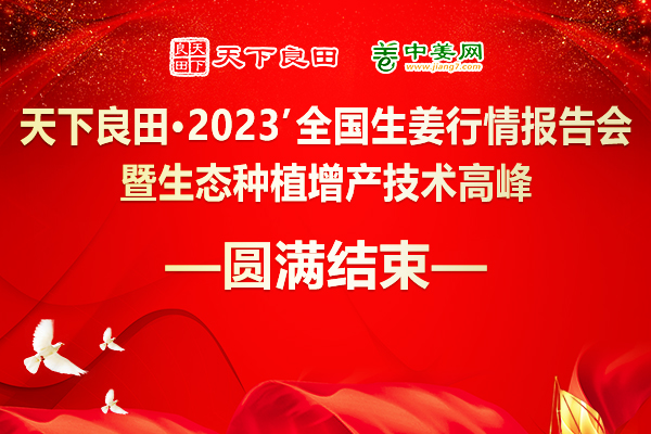 2023’全國生姜行情報告會暨生態(tài)種植增產(chǎn)技術(shù)高峰論壇成功舉辦 ()