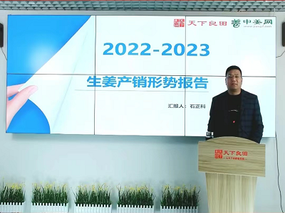2022-2023生姜產(chǎn)銷報(bào)告 ()