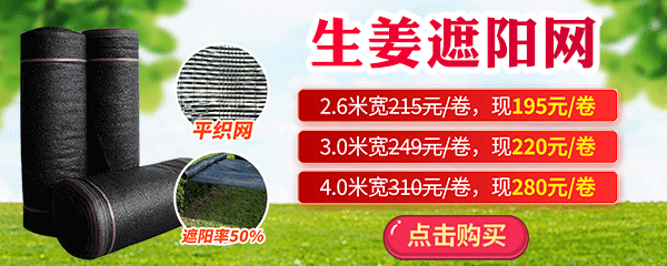 遮陽網(wǎng)