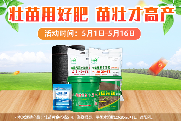 壯苗用好肥，苗壯才高產(chǎn) ()