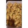 大姜供應(yīng)