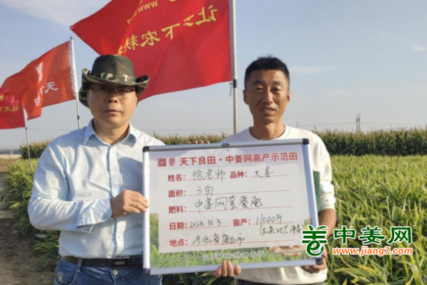 2023年唐山、葫蘆島等生姜基地測產(chǎn) ()