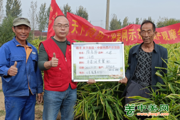 2023年山東生姜產(chǎn)區(qū)測產(chǎn) ()