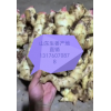 生姜購(gòu)銷老姜鮮姜