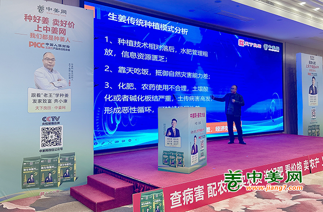 “生姜高產(chǎn)標(biāo)準(zhǔn)化種植技術(shù)推介”講座02
