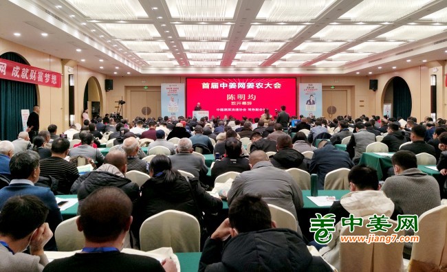 中國(guó)蔬菜流通協(xié)會(huì)常務(wù)副會(huì)長(zhǎng)陳明均致辭02
