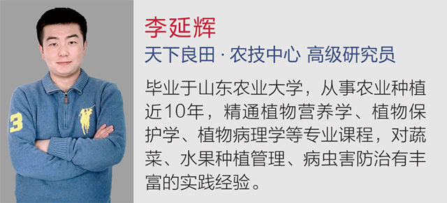 李延輝