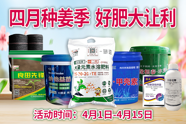 四月種姜季，好肥大讓利 ()