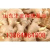 常年供應(yīng)優(yōu)質(zhì)生姜，大黃姜，小黃姜種子