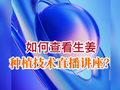 如何查看生姜種植技術(shù)直播講座？ ()
