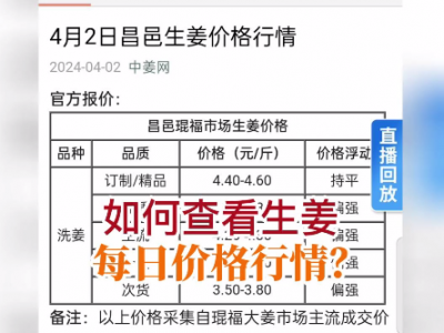如何查看生姜每日價(jià)格行情？ ()